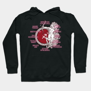 Sagittarius Zodiac Sign Test Hoodie